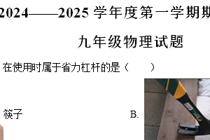 江苏省徐州市新沂市2024-2025学年九年级上学期期中物理试题（含解析）