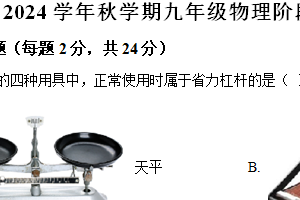 江苏省盐城市部分学校（盐中、射阳初级中学、射阳三中、六中等公立学校）2024-2025学年九年级上学期期中考试物理试题（含解析）