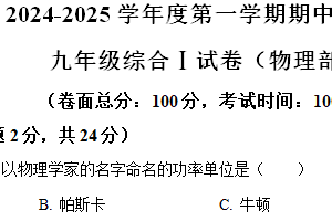 江苏省盐城市大丰区2024-2025学年九年级上学期11月期中物理试题（含解析）