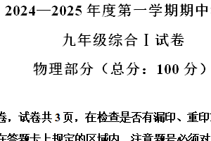 江苏省盐城市东台实验中学教育集团2024-2025学年九年级上学期期中考试物理试题（含解析）