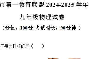 江苏省盐城市东台市第一教育联盟2024-2025学年九年级上学期11月期中物理试题（含解析）