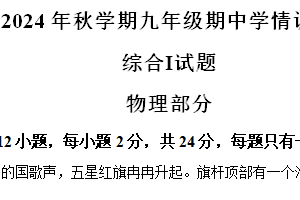 江苏省盐城市阜宁县2024-2025学年九年级上学期11月期中物理试题（含解析）