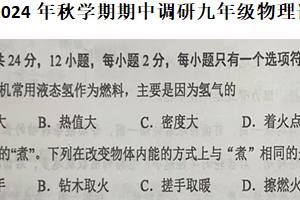 江苏省盐城市建湖县2024-2025学年九年级上学期11月期中物理试题（含答案）