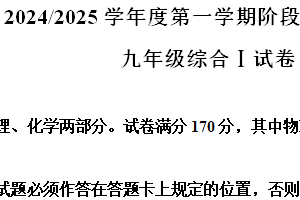 江苏省盐城市盐都区第一共同体2024-2025学年九年级上学期11月期中物理试题（含解析）