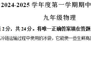 江苏省扬州市宝应县2024-2025学年九年级上学期11月期中物理试题（含解析）