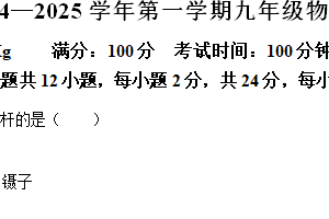 江苏省扬州市邗江区2024-2025学年九年级上学期期中考试物理试题（含解析）