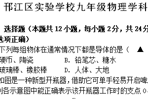 江苏省扬州市邗江区实验学校2024-2025学年九年级上学期物理期中试卷（含答案）