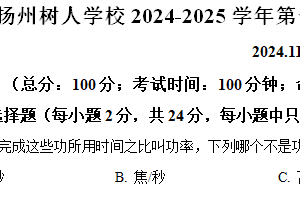 江苏省扬州市扬州中学教育集团树人学校2024-2025学年九年级上学期期中考试物理试题（含解析）