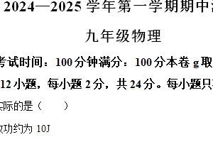 江苏省扬州市仪征市2024-2025学年九年级上学期11月期中物理试题（含解析）