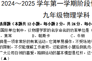 江苏省镇江市京口区京口中学、镇江市第十中学2024-2025学年九年级上学期11月期中物理试题（含答案）