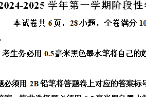 江苏省镇江市镇江新区2024-2025学年九年级上学期11月期中物理试题（含解析）