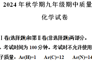 江苏省常州市金坛区2024-2025学年九年级上学期期中考试化学试卷（含解析）