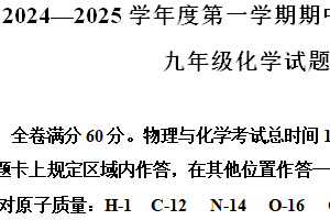 江苏省连云港市2024-2025学年九年级上学期期中考试化学试卷（含解析）