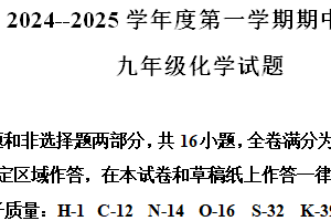 江苏省连云港市东海县2024-2025学年九年级上学期11月期中考试化学试题（含解析）