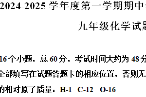 江苏省连云港市赣榆华杰双语中学2024-2025学年九年级上学期期中考试化学试题（含解析）