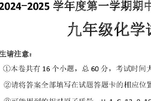 江苏省连云港市赣榆区2024-2025学年九年级上学期期中考试化学试题（含答案）