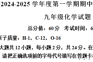 江苏省连云港市灌南县2024-2025学年九年级上学期期中考试化学试题（含解析）