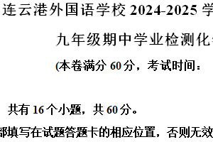 江苏省连云港市外国语学校2024-2025学年九年级上学期期中考试化学试卷（含解析）