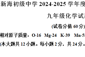 江苏省连云港新海初级中学2024-2025学年九年级上学期期中考试化学试题（含解析）
