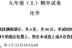 江苏省南京市鼓楼区2024–2025学年九年级上学期期中化学试题（含解析）