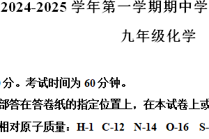 江苏省南京市建邺区2024-2025学年九年级上学期期中质量监测化学试卷（含解析）