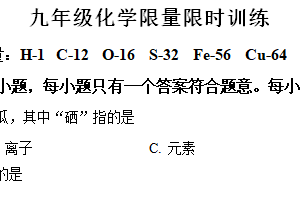 江苏省南京市金陵中学河西分校2024-2025学年九年级上学期化学期中复习试卷（含解析）