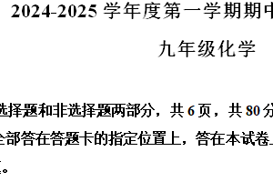 江苏省南京市联合体2024-2025学年九年级上学期期中学情分析化学试卷（含解析）