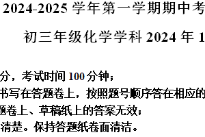 江苏省苏州市工业园区五校联考2024–2025学年九年级上学期11月期中考试化学试题（含解析）