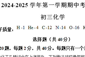 江苏省苏州市立达中学2024-2025学年九年级上学期期中化学考试卷（含解析）