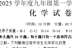 江苏省宿迁市如东实验，崇文，洋河等校2024-2025学年九年级上学期期中联考化学试题（含答案）
