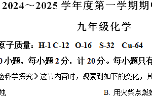 江苏省宿迁市沭阳县2024-2025学年九年级上学期11月期中考试化学试题（含解析）