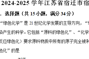 江苏省宿迁市宿城区2024-2025学年九年级上学期期中化学试卷（含解析）