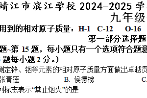 江苏省泰州市靖江市滨江学校2024-2025学年九年级上学期第三次独立测试化学试卷（含答案）
