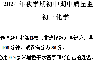 江苏省无锡市滨湖区2024-2025学年九年级上学期期中质量监测卷化学试卷（含解析）