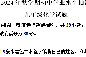 江苏省无锡市侨谊实验中学2024-2025学年九年级上学期11月期中考试化学试题（含解析）