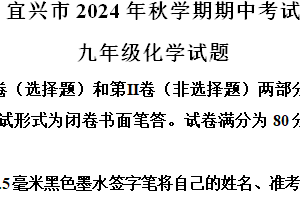 江苏省无锡市宜兴市2024-2025学年九年级上学期期中考试化学试卷（含解析）