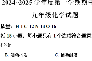 江苏省徐州市2024-2025学年九年级上学期期中检测化学试题（含解析）