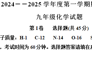 江苏省徐州市新沂市2024–2025学年九年级上学期期中抽测化学试题（含解析）