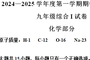江苏省盐城市大丰区2024-2025学年九年级上学期11月期中考试化学试题（含解析）