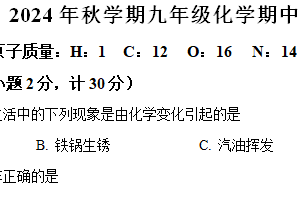 江苏省盐城市大丰区实验初中教育集团2024-2025学年九年级上学期10月期中联考化学试题（含解析）
