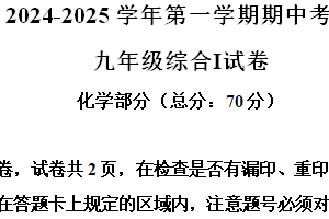 江苏省盐城市东台实验中学教育集团2024-2025学年九年级上学期期中化学试题（含解析）