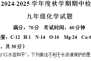 江苏省盐城市东台市第五教育联盟2024-2025学年九年级上学期期中化学试题（含解析）