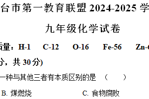 江苏省盐城市东台市第一教育联盟2024-2025学年九年级上学期11月期中联考化学试题（含解析）