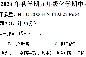 江苏省盐城市阜宁县2024-2025学年九年级上学期期中联考化学试题（含解析）