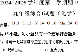 江苏省盐城市建湖县2024-2025学年九年级上学期11月期中化学试题（含解析）