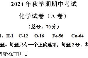 江苏省盐城市射阳县实验初级中学2024-2025学年九年级上学期期中考试化学A卷试题（含解析）