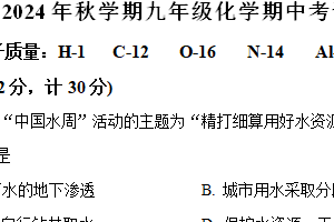 江苏省盐城市盐城经济技术开发区2024-2025学年九年级上学期11月期中联考化学试题（含解析）