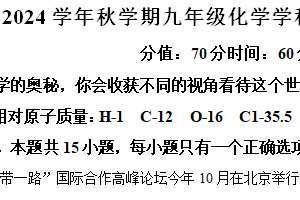 江苏省盐城市盐中、射阳初级中学、射阳三中、六中等公立学校2024-2025学年九年级上学期期中联考化学试卷（含解析）