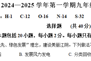 江苏省扬州市宝应县2024-2025学年九年级上学期期中化学试题（含解析）