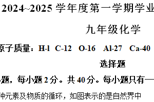 江苏省扬州市高邮市2024-2025学年九年级上学期期中考试试卷（含解析）
